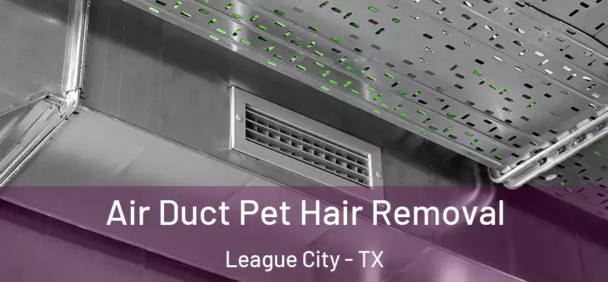  Air Duct Pet Hair Removal League City - TX