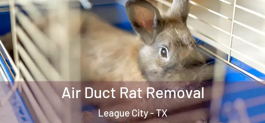  Air Duct Rat Removal League City - TX