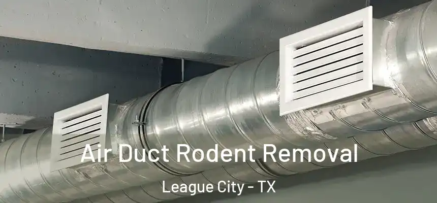  Air Duct Rodent Removal League City - TX