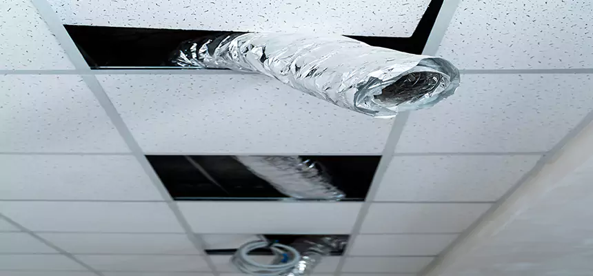 Affordable HVAC Sanitizing After Pest Removal in League City