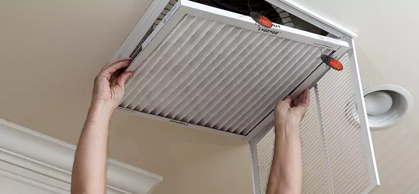 Our Insect Removal from Air Ducts Services in League City, TX