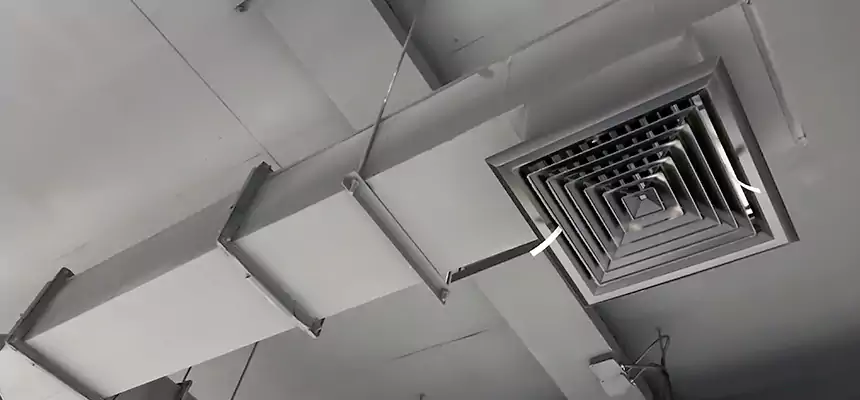 Our Rodent Droppings In Vents Services in League City, TX