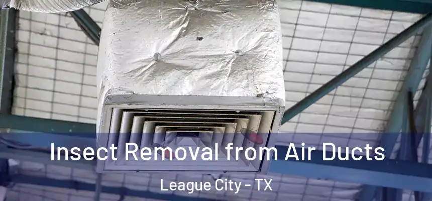  Insect Removal from Air Ducts League City - TX
