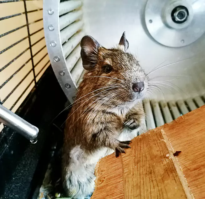 Why Homeowners & Businesses Trust Us League City, TX